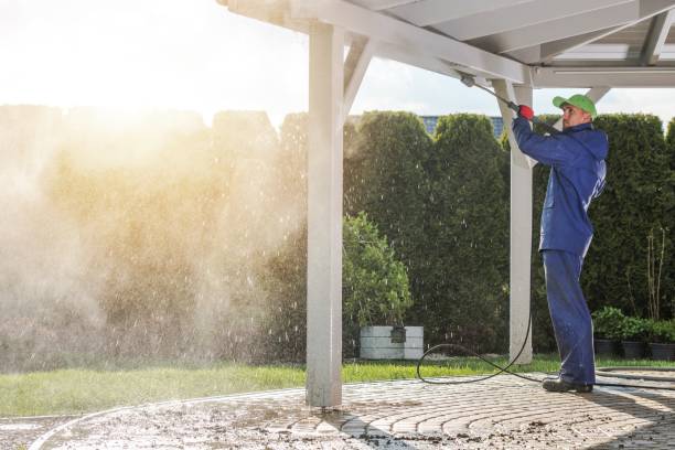 Best Solar Panel Cleaning  in Orlando, FL